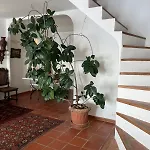 Penthouse Amazing View בוניפסיו