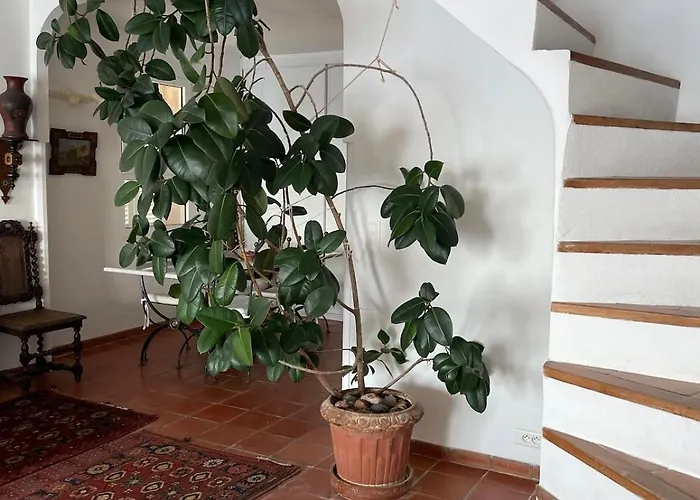 Penthouse Amazing View Bonifacio (Corsica)